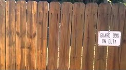 Wood fence cleaning 