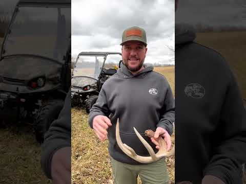 Shed hunting season is here!