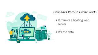 What is Varnish Cache In VPS Hosting?