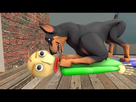 [Com] Baldis Pet | Baldi SFM Animation