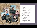 Мечтай, планируй, действуй, празднуй: обзор Tesoro notes циркон