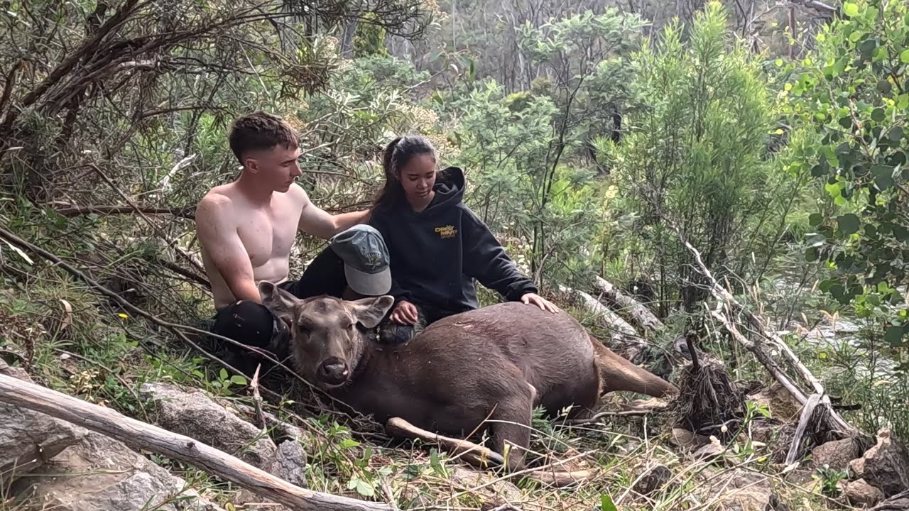 Victorian Highcountry | Sambar and Trout | Field To Fork