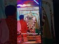 !! હાથી ઘોડા પાલ ડી !! 🦚♥️✍🏻 #live #love #dwarkastatdu #wedding #life #gujarati #youtubeshorts #song