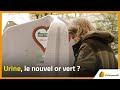 Urine, le nouvel or vert ?