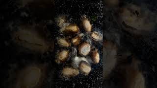 What Happens If You Put Almonds Under Soil? #timelapse #photography #almond  #tillspring #cinematic