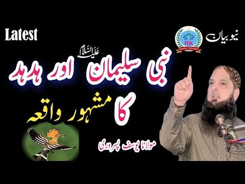 Molana yousaf pasrori new bayan 2023 Hafiz Yousaf Pasrori shab latest speech yousuf pasrori taqreer