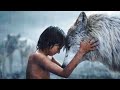 The tale of an orphan boy who became the jungle king  full adventure movie  english