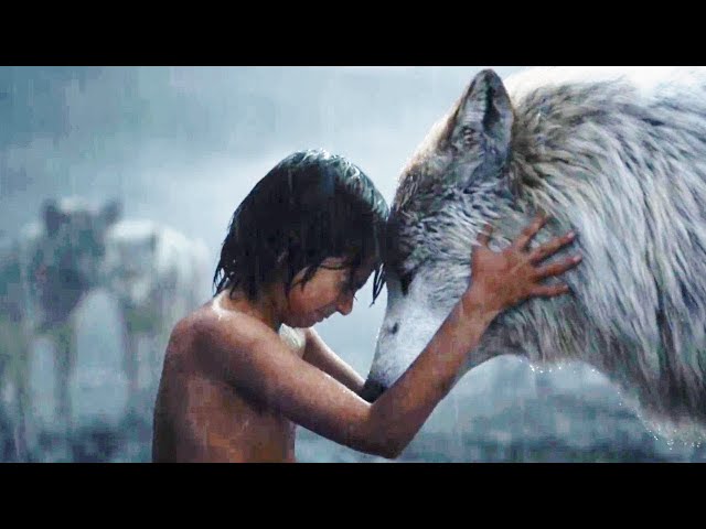 The Tale of an Orphan Boy who Became the Jungle King | Full Adventure Movie | English class=
