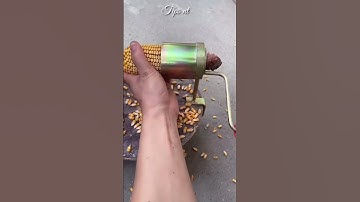 Mẹo tự chế dụng cụ tách hạt bắp rất đơn giản || TIPS NT #shorts