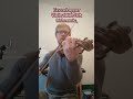 Eavesdropper Irish music for violin fiddle folk #fiddle #music #celtic #cover #irishmusic #violin