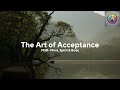Shikata Ga Nai: The Art of Acceptance | Japanese Wisdom for Mental Wellbeing | MSB Series