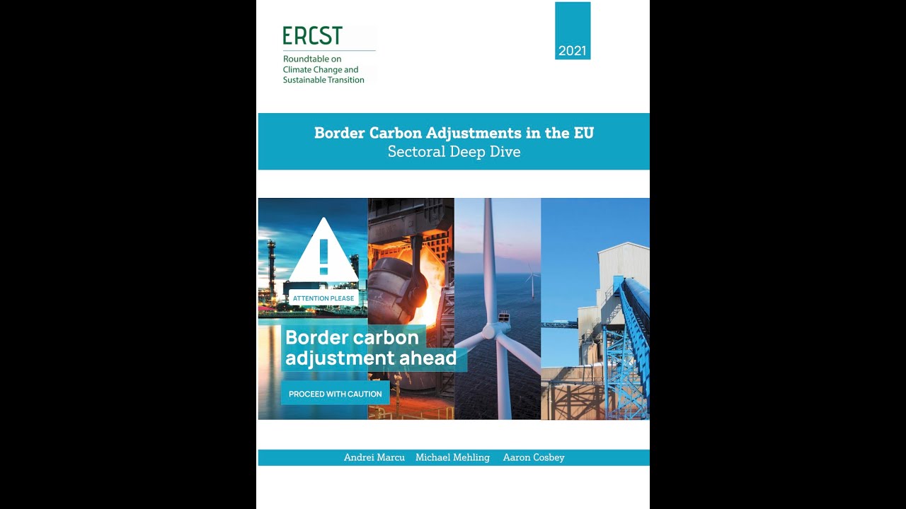 Border Carbon Adjustments in the EU: Sectoral Deep Dive