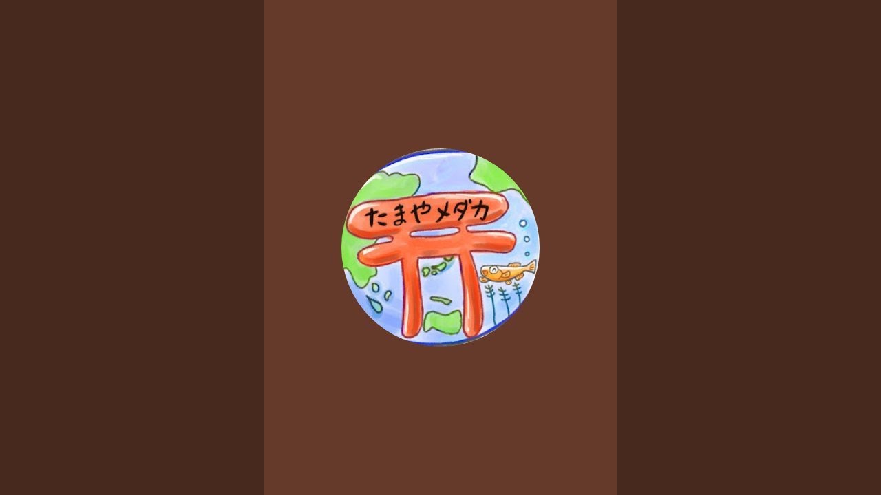 朝の生配信 YouTube