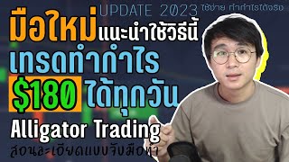 IQ OPTION เทคนิคแท่งเทียน 10 วินาที x Alligator Trading