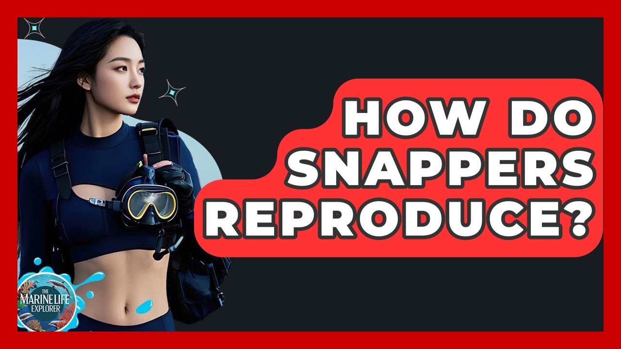 How Do Snappers Reproduce? - The Marine Life Explorer