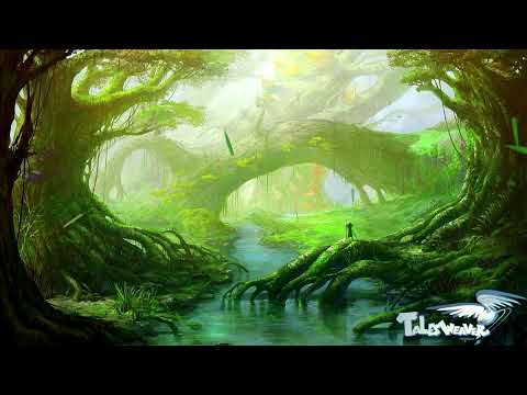 테일즈위버 BGM 4K 아름다운 영상 공부할 때 듣기 좋은 BGM 기분 좋은 뉴에이지