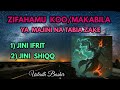 MAKABILA KOO ZA MAJINI NA TABIA ZAKE KATIKA ULIMWENGU WA MAJINI No 2 MAKABILA KOO ZA MAJINI NA TABIA ZAKE KATIKA ULIMWENGU WA MAJINI No 2