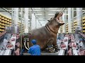Inside the Hippo Leather Factory – How $50,000 Luxury Bags Are Actually Made