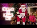 Christmas At Marwell Zoo - Including Meeting Santa