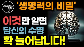 "새로운 차원의 100세 건강법" 여태껏 몰랐던 놀라운 생명력의 비밀! / '이것'만 알면 당신의 수명 확 늘어납니다! / 허준 한의사 닥터 매직, 생명의 더 룰 / 책읽어주는여자