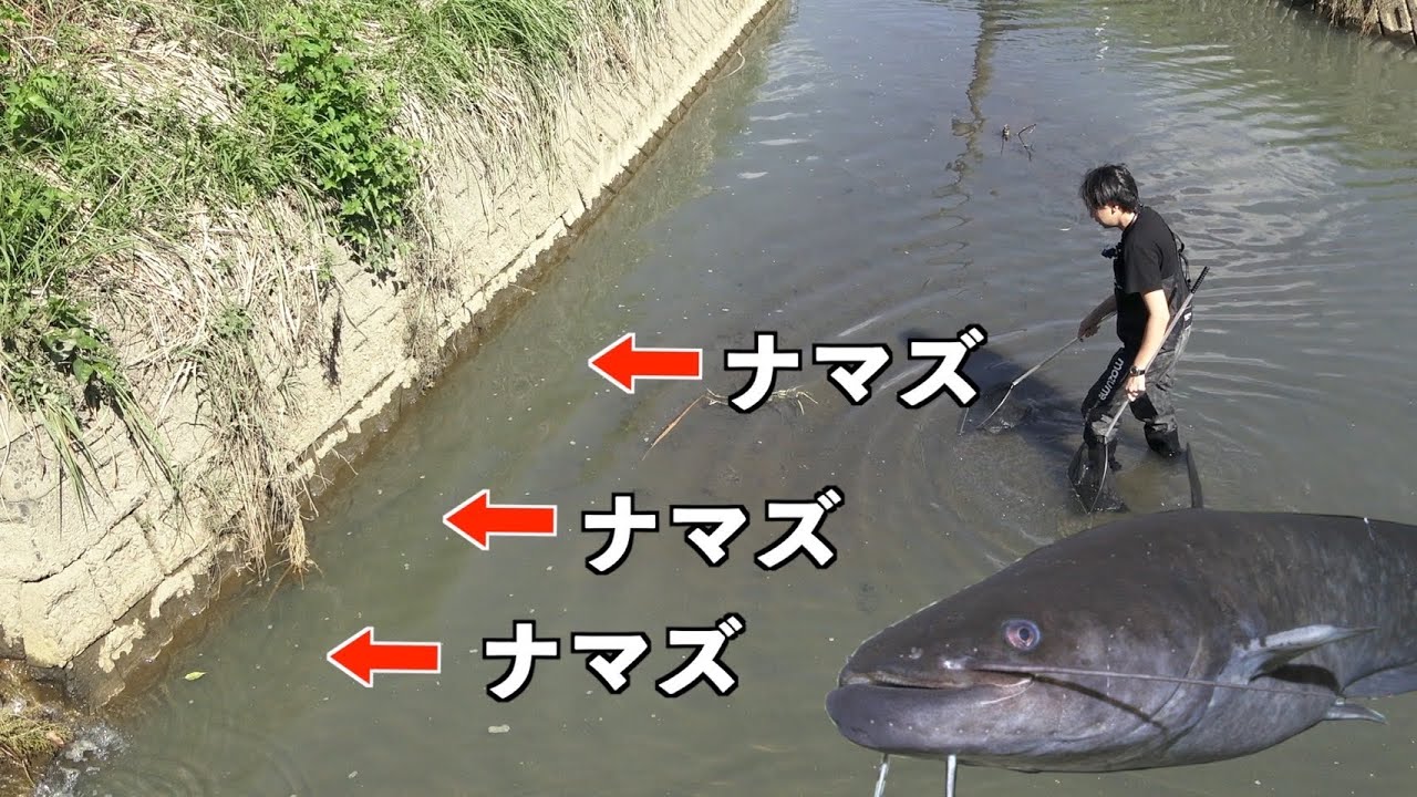 A man who definitely wants to catch a catfish. - YouTube
