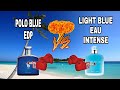 POLO BLUE EDP VS LIGHT BLUE EAU INTENSE - duelo marino 🌊