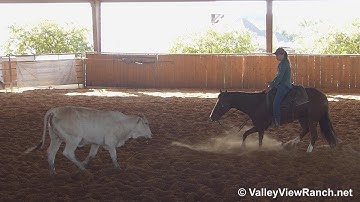 Peptos Stylin - AWESOME working cows! - ValleyViewRanch.net