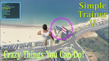 Simple Trainer IN DEPTH Guide