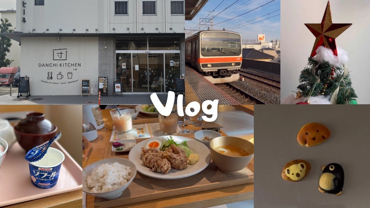 【vlog】入院手術と色々あった2025年を振り返って