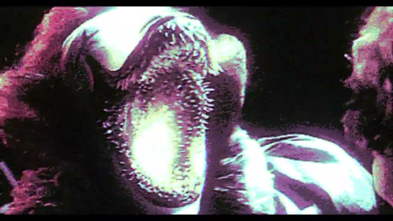 [free] kill ebola + gorejit + hxlx necrotrap type beat