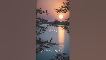الشيخ عبد الفتاح الطاروطي ...نوادر روعه ممتاز جدا نادر #تلاوات