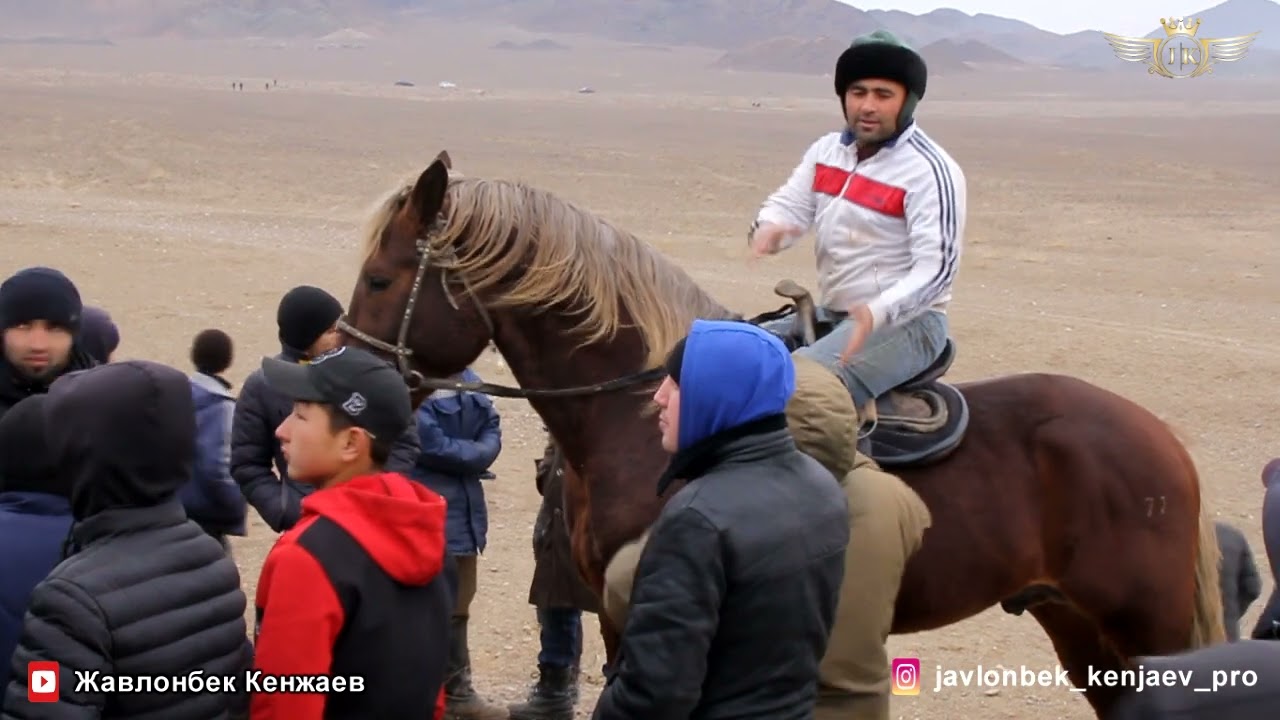 Бузкаши Улоки Каражингил 03 01 2023/Жавлонбек Кенжаев Бузкаши Хужанд Кукмар Купкари Полный версия