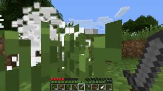 Minecraft : Episode # 3 - Construction !