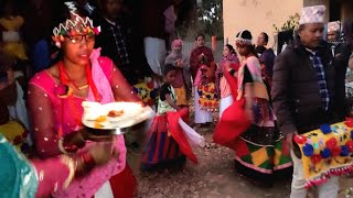 Tharu Flok Dance in Tulsipur Dudhena Dang|Tharu Maghauta Nach|Maghauta Song_New Tharu Cultural Song|