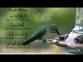 Surah Ikhlas