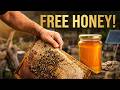 Why own bees off grid