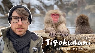 Hanging With Snow Monkeys At Jigokudani Snow Monkey Park In Nagano Japan