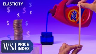 Elasticity: The Economic Concept Behind How Companies Price Products | WSJ Price Index
