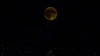 Fall Into Sleep Instantly (No Ads) • Anxiety & Depression Relief • Melatonin Activation