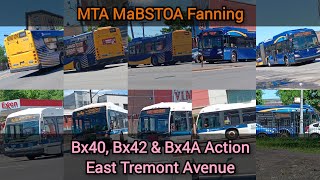 MTA MaBSTOA Fanning: Bx40, Bx42 & Bx4A Action At East Tremont Avenue