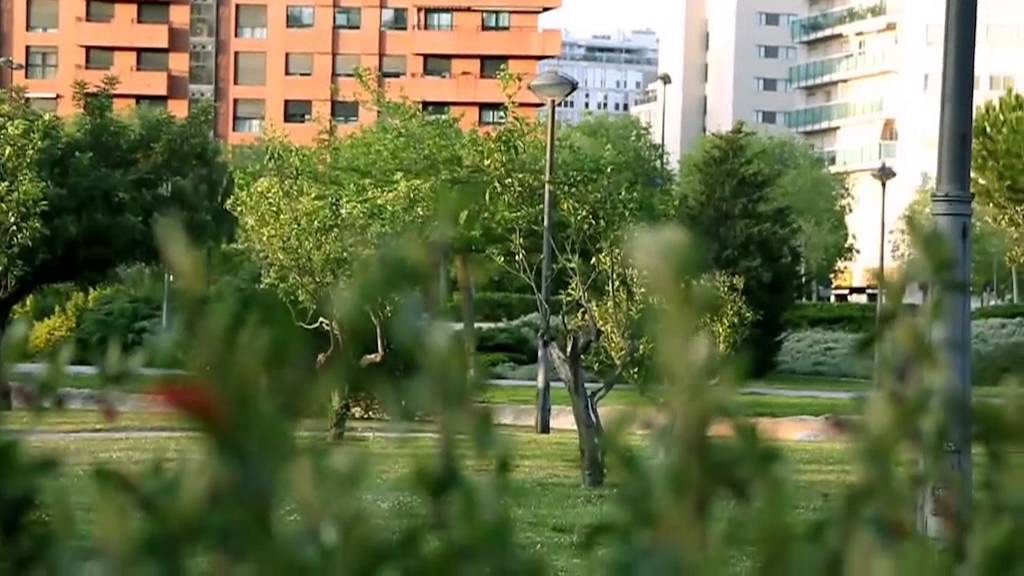 TOM TOM MARTA SURIA TEASER