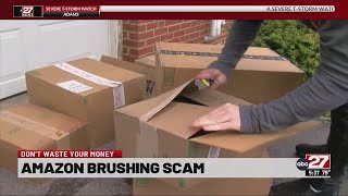 Don't Waste Your Money: Amazon Brushing Scam Wealth