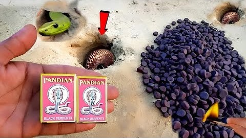 Testing Different Types Crackers | Crackers testing | Cracker Testing 2025 | Diwali Cracker testing