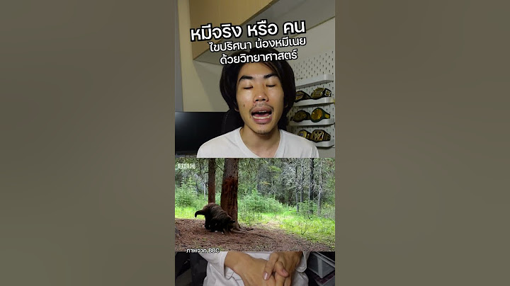 น้องหมีเนยเป็นหมีจริงหรือคน ดูได้ตอนเต้น!!!  #saysci #ความรู้ #เรื่องเล่า #สาระ