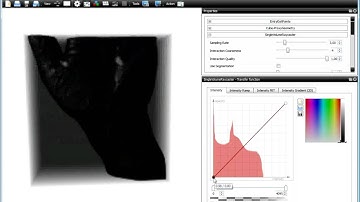 Voreen Video Tutorial 3 - Transfer Functions