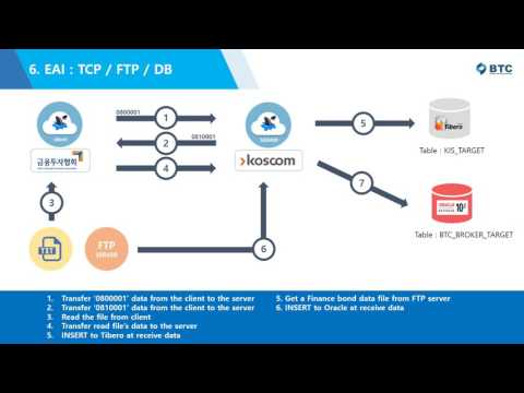 6 비즈테코 아이샤크 IShark Data Integration Demo EAI 