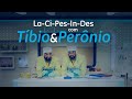 Tíbio & Perônio | Episódio 1: La-ci-pes-in-des!