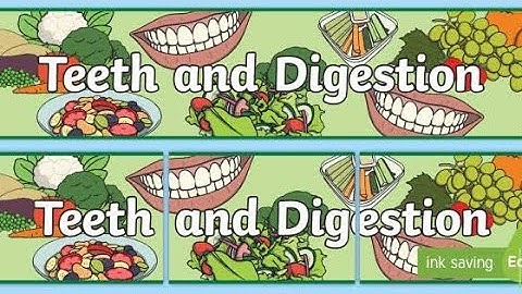 class 4science|| chapter 6|| Teeth and digestion|| part 5||Track your progress||Digestion in mouth