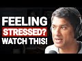 When Feeling Stressed &amp; Lost In Life, WATCH THIS! | Dr. Rangan Chatterjee