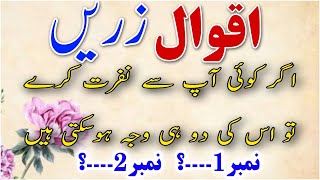 Best Zameer Aqwal Herunterladen